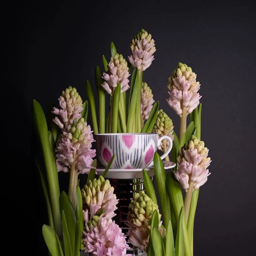 muzlatgichda yalangoch donuts