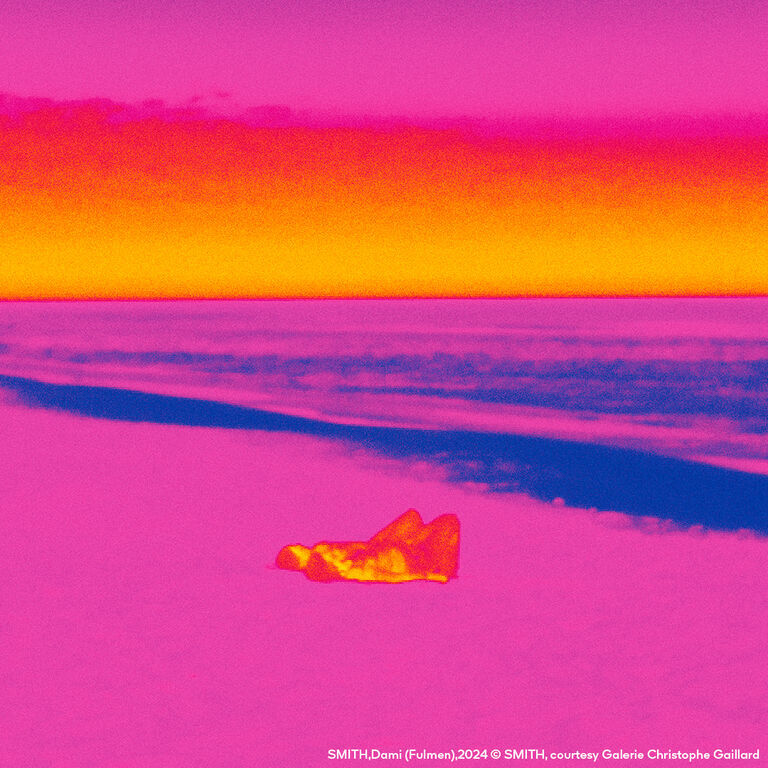 SMITH, Dami (Fulmen), 2024. © SMITH, courtesy Galerie Christophe Gaillard.