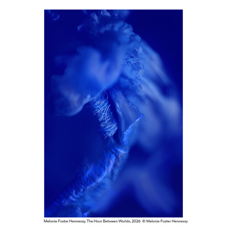Melonie Foster Hennessy, The Hour Between Worlds, 2026. © Melonie Foster Hennessy.